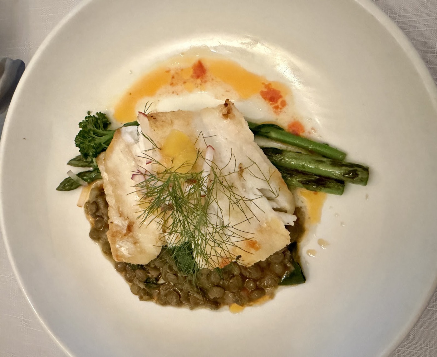 A pan-seared white fish fillet on braised lentils with green beans and a fennel garnish